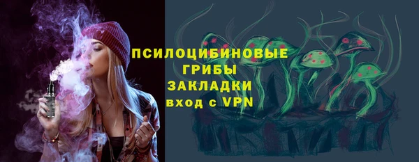mix Бородино