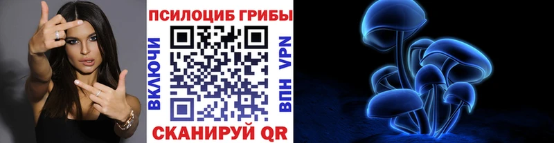 Псилоцибиновые грибы прущие грибы  продажа наркотиков  Александровское 
